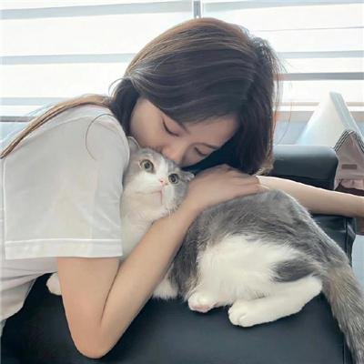 泡芙小姐第四季